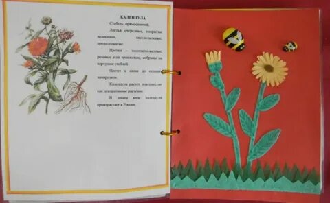 Книжка про растения
