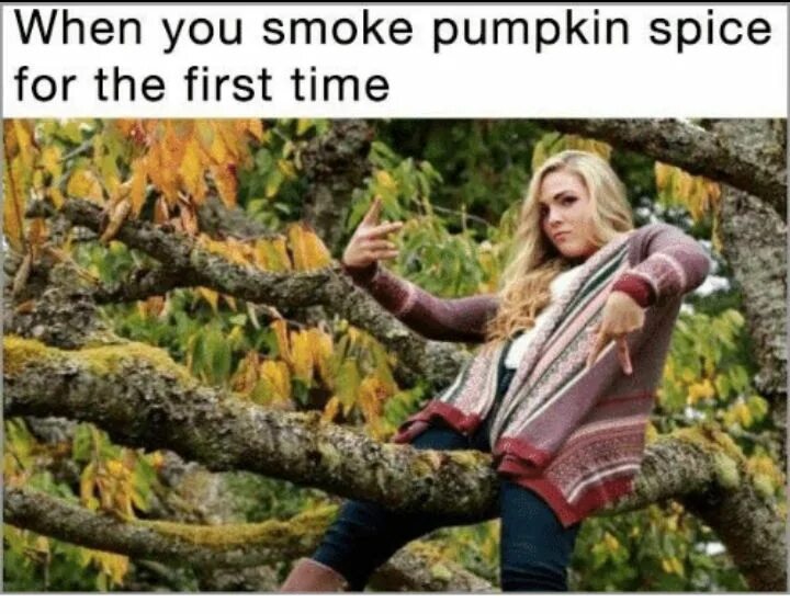 Fall meme. Тыквенный латте мемы. Хаха Вумен. Smoking Pumpkin meme. Spice meme.