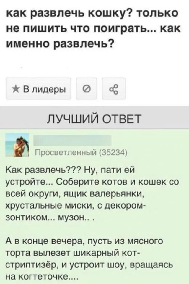 Очень смешные ответы. Как развлечь кошку. Прикольные ответы на вопросы. Ответ прикол. Юморные ответы на вопросы.