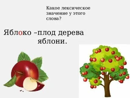 Слова яблоня яблоко