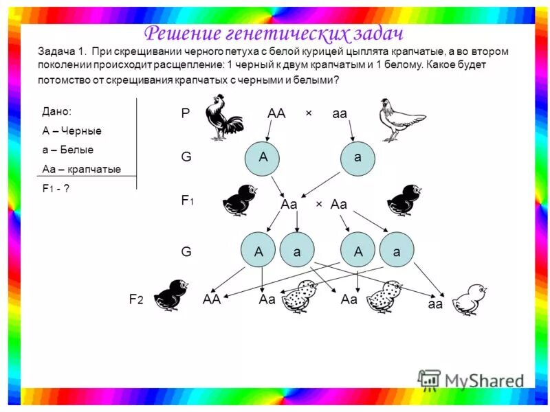 Егэ биология дигибридное скрещивание