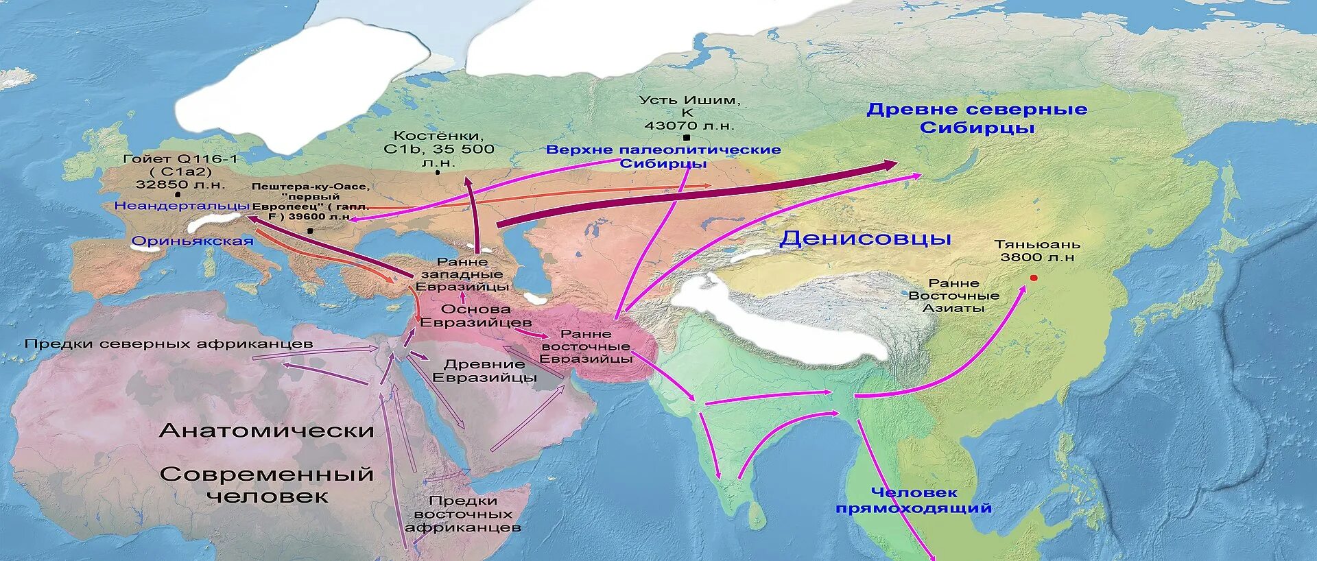 Расселение и миграция. Кроманьонцы миграция карты. Карта расселения кроманьонцев. Карта миграции людей из Африки. Карта расселения неандертальцев и кроманьонцев.