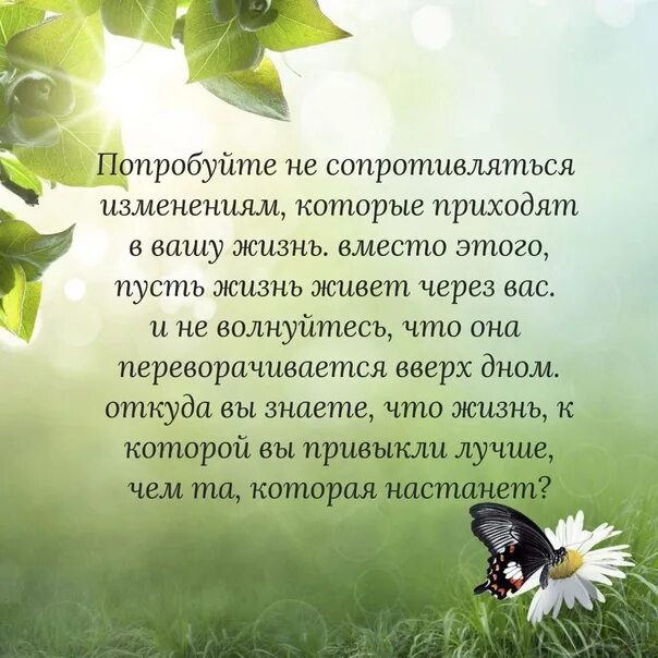 Песня как нам живется сквозь жизнь. Не сопротивляйся изменениям. Попробуйте не сопротивляться изменениям. Руми попробуйте не сопротивляться изменениям. Не сопротивляйся изменениям в жизни.