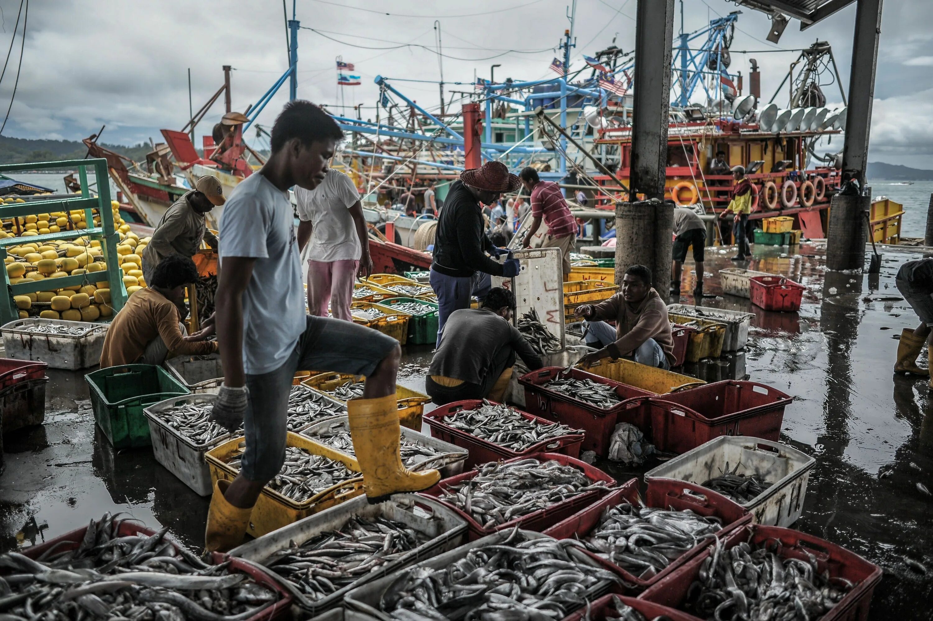 Где рыбный рынок на волне. Рыбный рынок. Южная Корея рыболовство. Японский рыбный рынок. Рыболовство в Сингапуре.