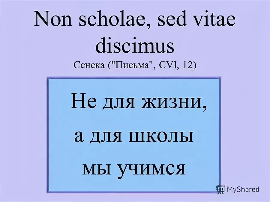 Vitae non scholae discimus. Vitae non scholae discimus