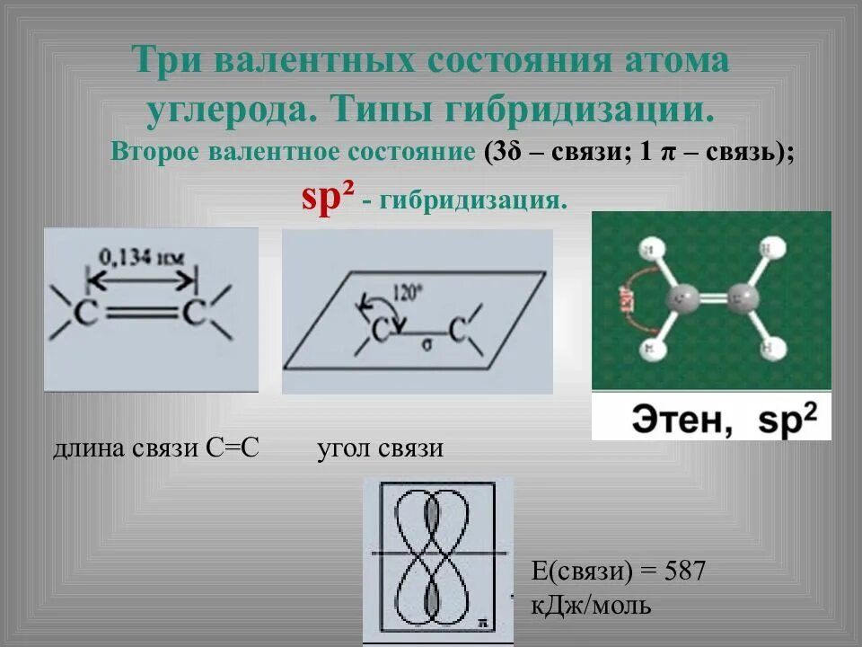 Состояния атома углерода в органических соединениях. Изопрен Тип гибридизации атомов. Типы гибридизации атома углерода. Гибридизация атомов углерода. Три валентных состояния атома углерода.