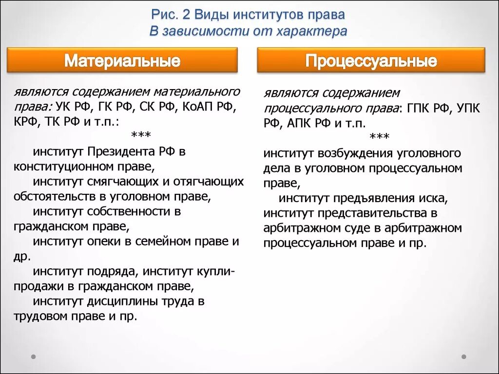 59 коап рф. Процессуальное право институты.