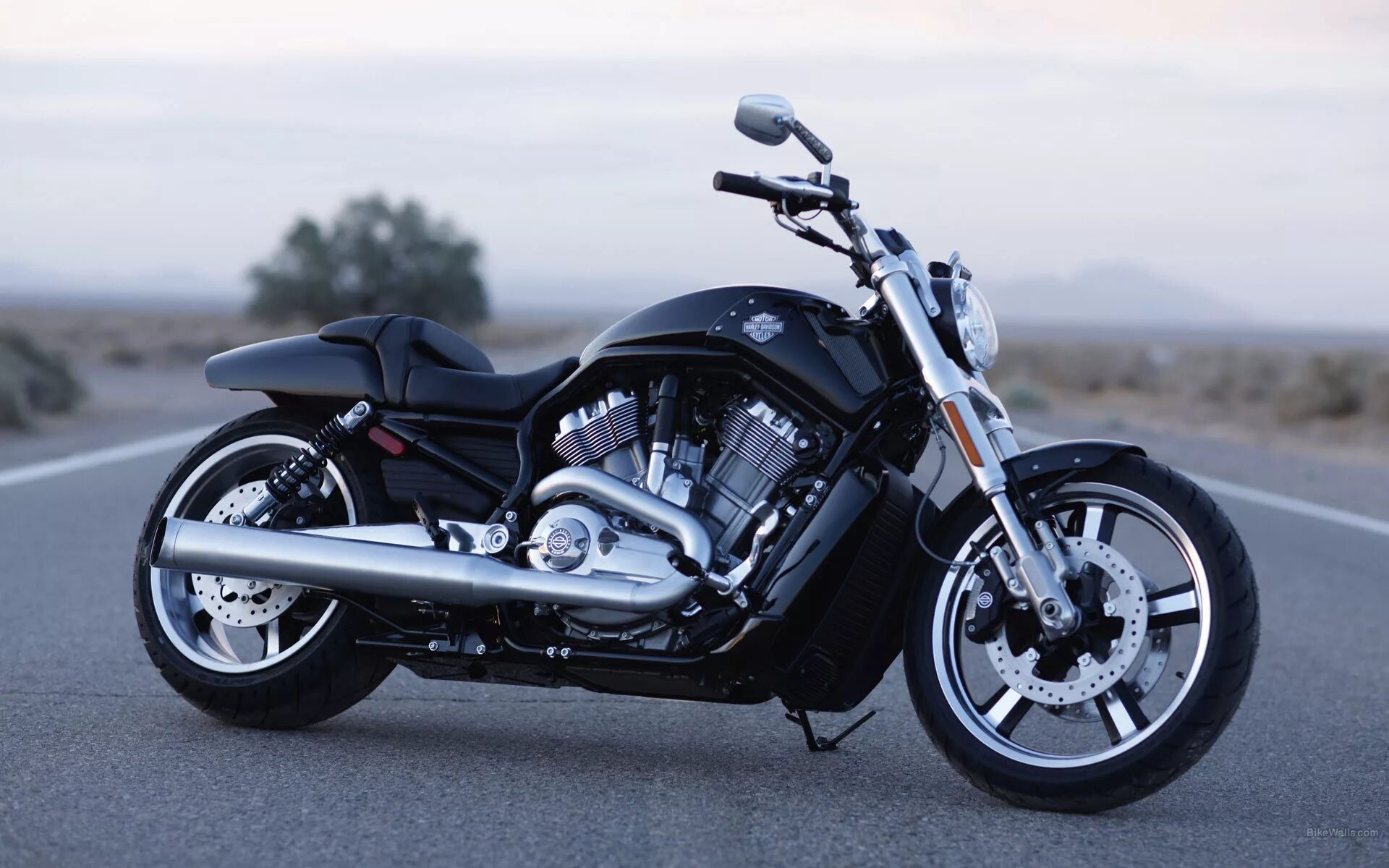 Харлей фото. Харлей Дэвидсон v-Rod. Харли Девидсон мотоцикл. Мотоцикл Harley-Davidson v-Rod muscle. Harley-Davidson VRSCF.