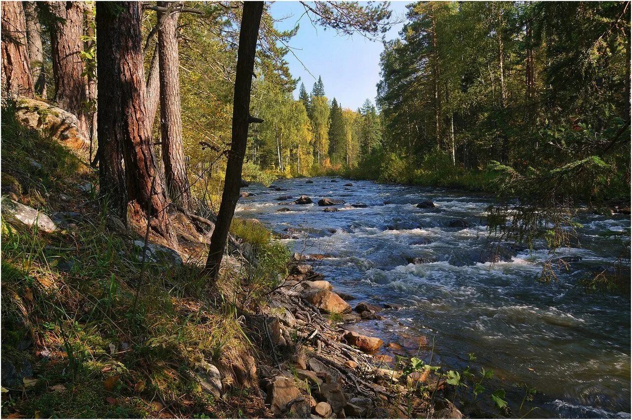 Река Иодзыхе Тайга. Горно Таежные реки Красноярск. Сибирь Тайга и река. Таёжный речке Красноярск. Тайга невероятное