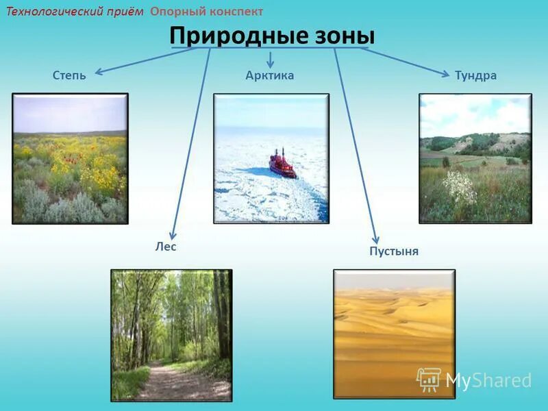 конспект по природным зонам. природная зона климат почва растительность животный мир таблица. таблица по географии 8 класс природные зоны россии. графический конспект природные зоны земли. природные зоны стенд.