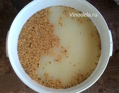 Рецепт браги на пшенице без дрожжей