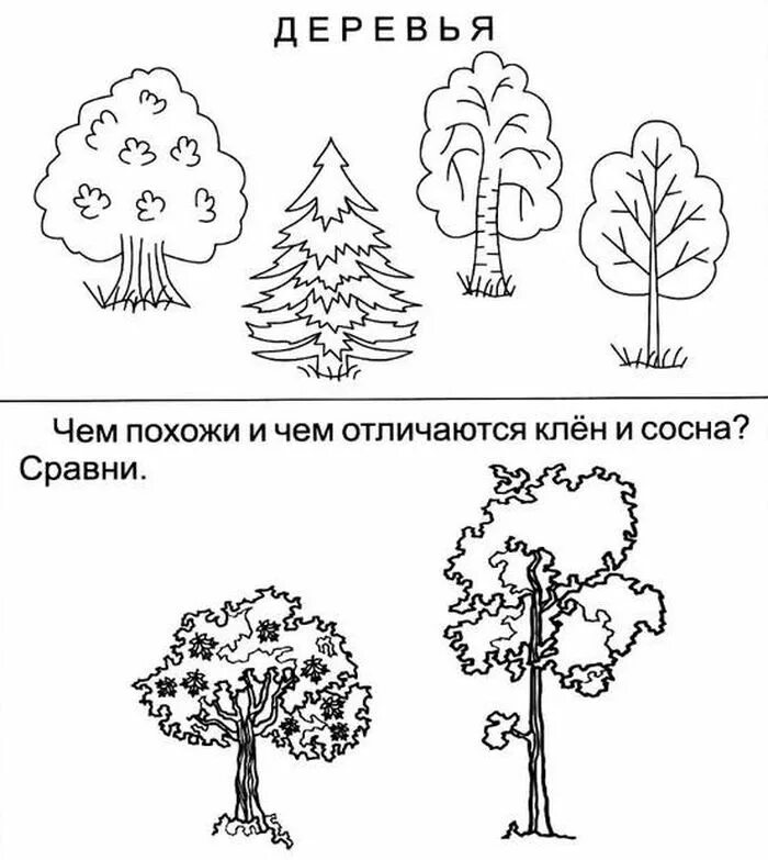 Деревья кусты задания