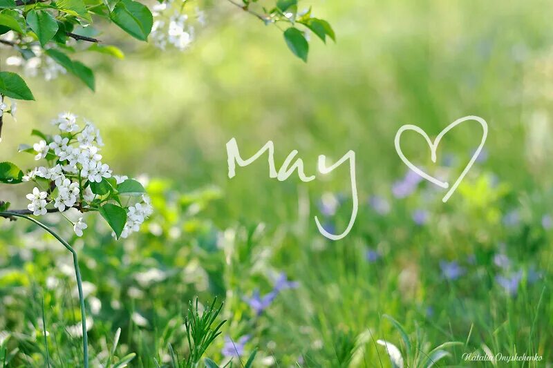 Был месяц май уже шестой день. Праздник на природе. Прекрасный месяц май. Люблю месяц май.