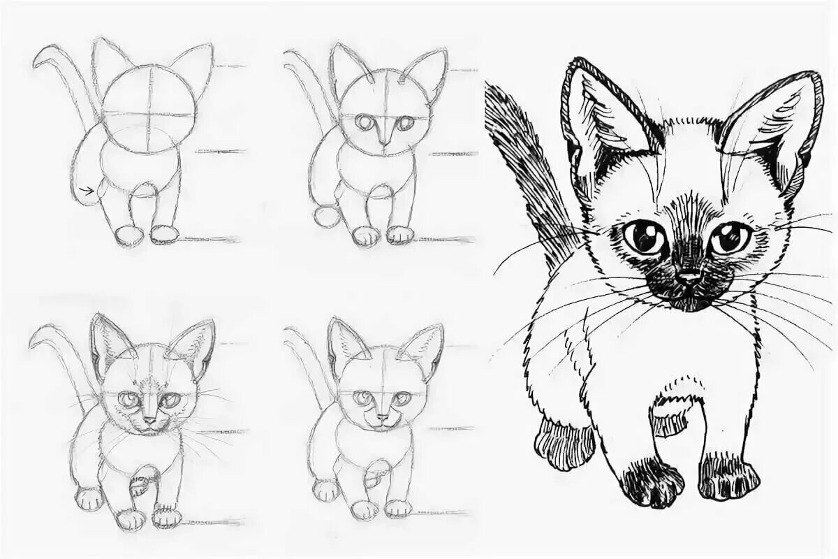 Как нарисовать катнапа. Поэтапное рисование карандашом. Рисунки животных карандашом. Рисунки карандашом для начинающих. Рисунки для срисовки для новичков.