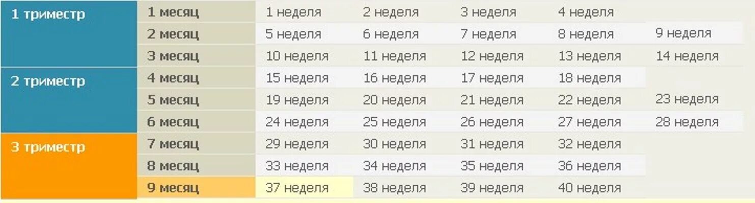 86 сколько месяцев. Недели беременности по месяцам таблица. Недели беремености по мес. Недели и месяцы беременности. Триместры беременности по неделям.