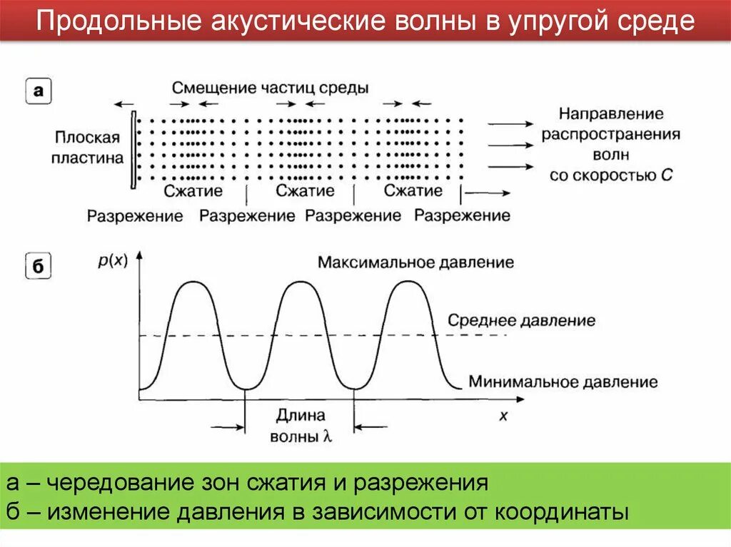 Смещение частиц среды. Продольные ультразвуковые волны. Продольные акустические волны. Продольные и поперечные звуковые волны. Продольные волны это волны сжатия и.