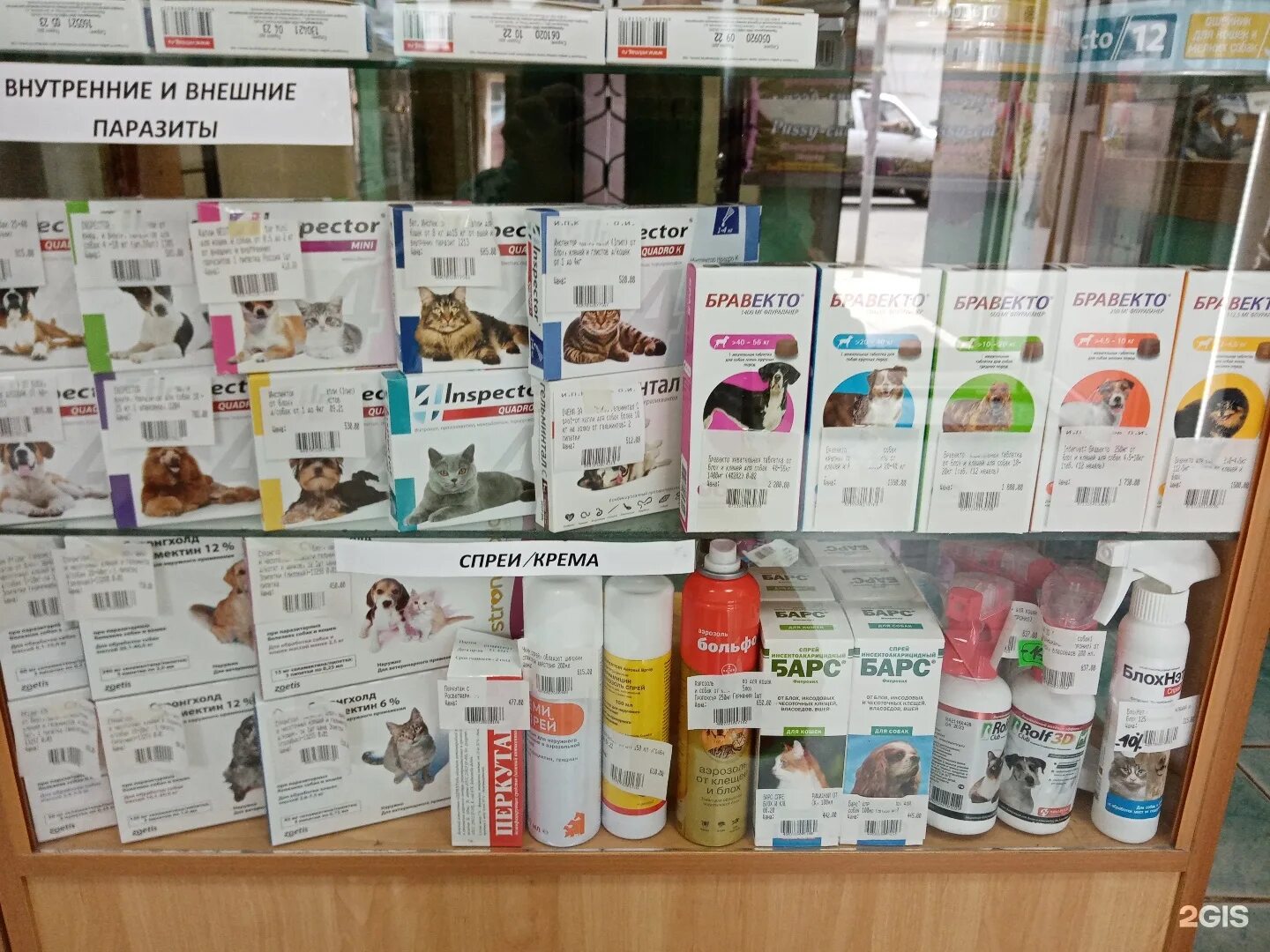 сириус вет калуга. сириус вет калуга баррикад. ветаптека калуга. сириус вет калуга врачи. команда по мини футболу 5.