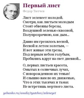 Стих федора ивановича тютчева листья