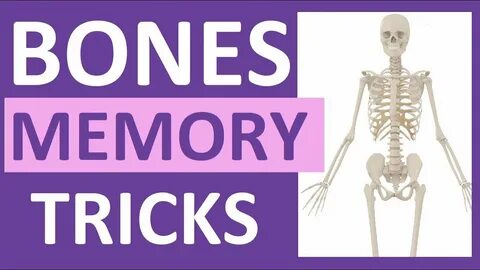 Bones how