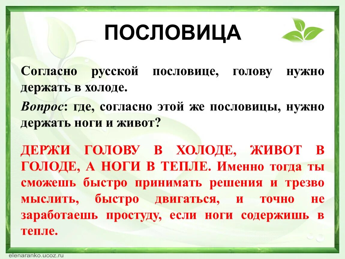 Слова голову пословица