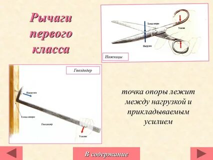 Точка зрения точка опоры