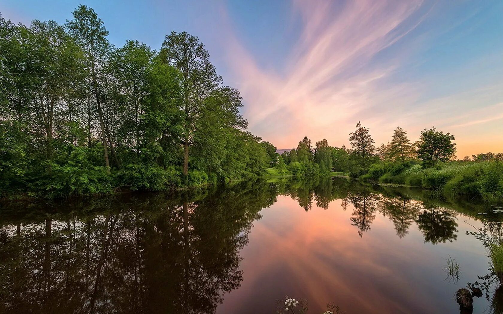 Лето река фото. Река Березина. Река Уборть. Природа речка. Речка в лесу.