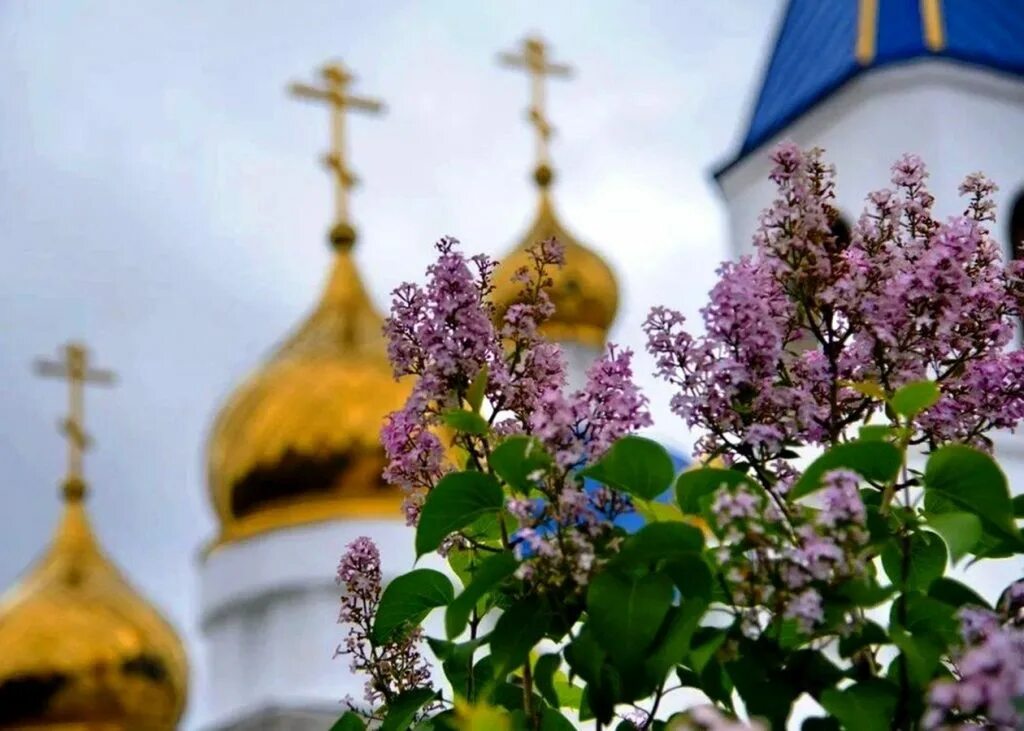 Правительство Тверской области