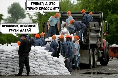 Книги грузит
