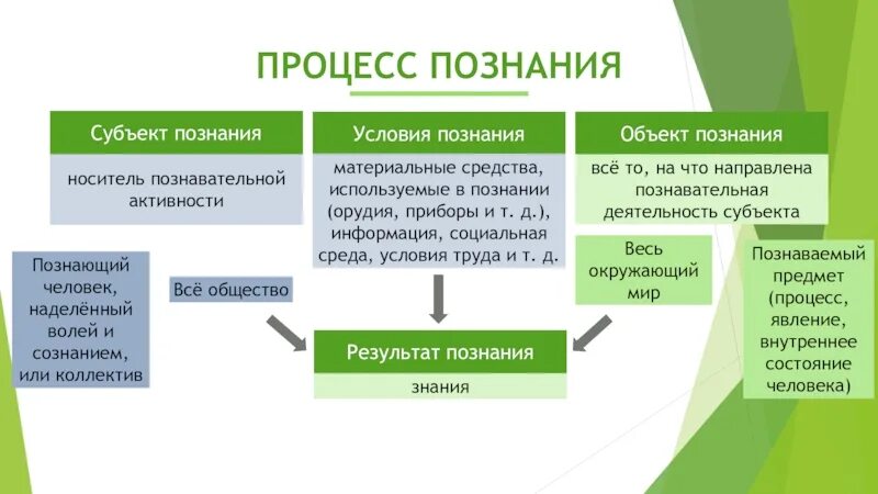 Что является целью познания обществознание. Виды познания. Процесс познания. Процесс познания схема. Виды знаний.