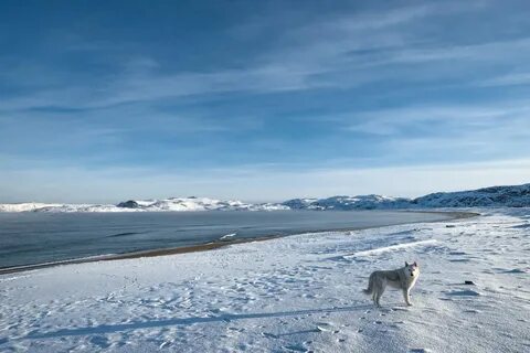 Мурманск чукотка