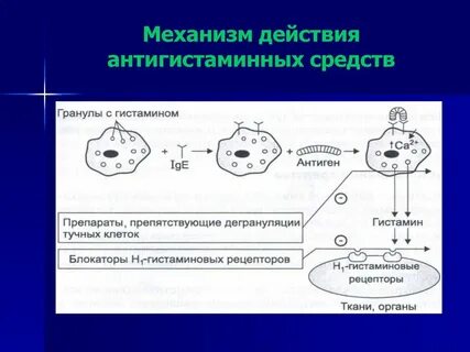 Эффект антигистаминных препаратов