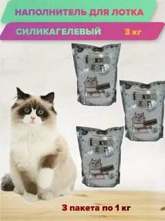 Кот 3 кг
