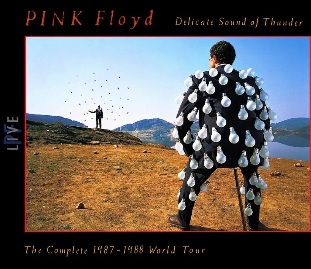 Pink floyd / delicate sound of thunder (2lp). Delicate sound of thunder обложка. Delicate sound of thunder. Delicate sound of thunder pink floyd. Альбом pink floyd delicate sound of thunder.