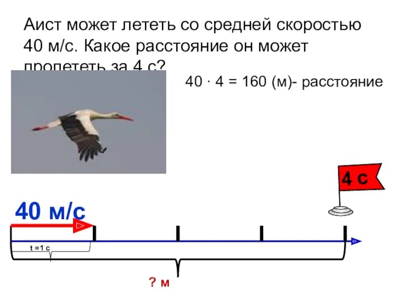 Самолет летит со скоростью 342. Аист может летать со средней скоростью. Аист может лететь со скоростью 600. Скорость полета аиста. Птица сколько километров в час летает.