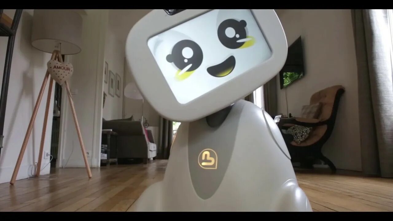 Robot nanny