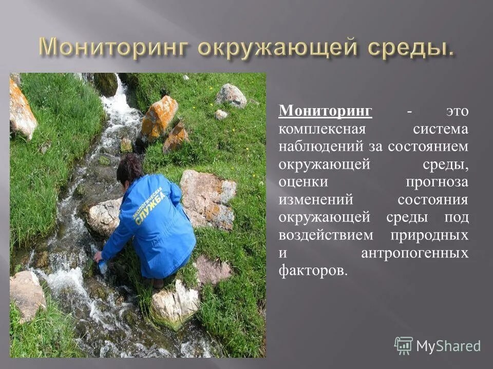 Информация о состоянии окружающей среды. Состояние окружающей среды в россии. Информация о состоянии окружающей среды. Инфографика на тему экологии. Информация о состоянии окружающей среды.