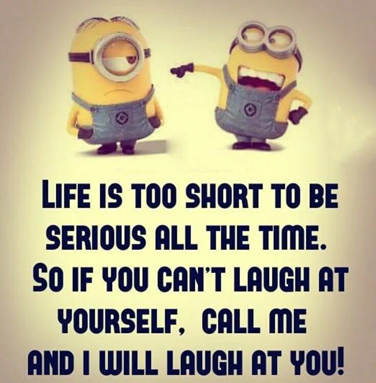 Life is funny. Funny quotes. Funny Life quotes. Funny quotes about Life. Life is too short quote.