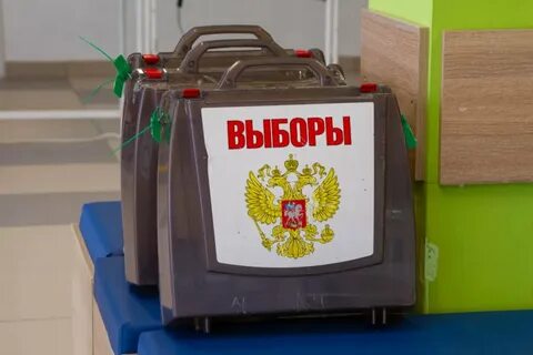 Выборы губернатора 2024 кто победил