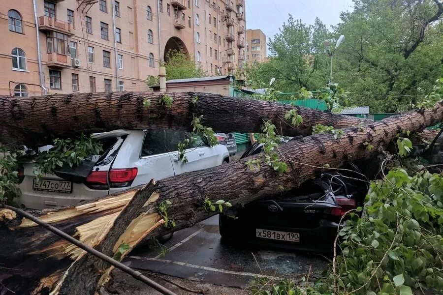 Москва ураган новости сейчас. Ураган в Москве 1998. Ураган в Москве (2017). Ураган в Москве 2001. Москва август 2017 ураган.