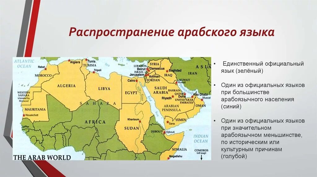 В каких странах разговаривают на арабском языке. Страны с арабским языком на карте. Распространенность арабского языка. Страны говорящие на арабском языке.