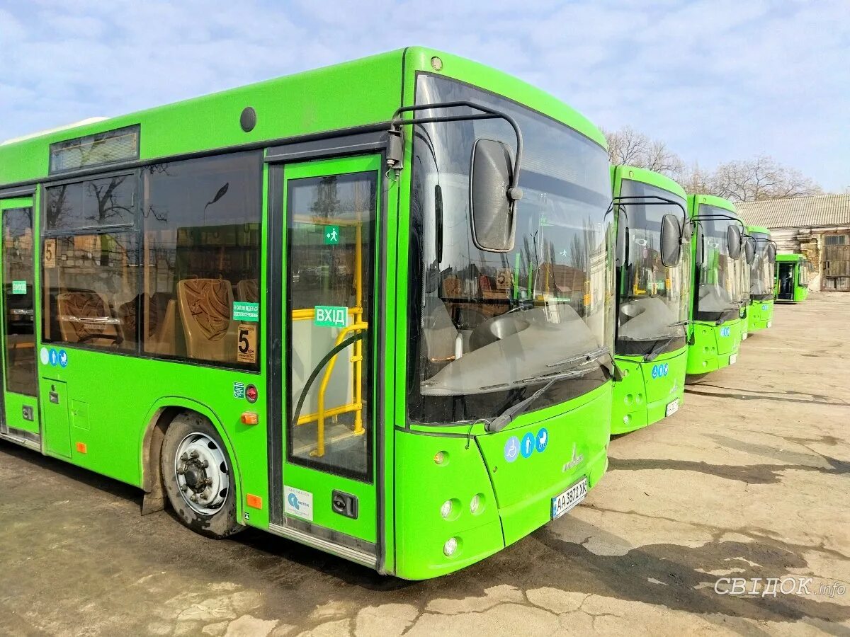 Электробус ЛИАЗ. Зеленый автобус. Городской зеленый автобус. Электробус зеленый.