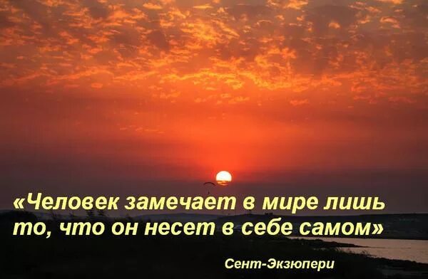 Человек видит то что у него внутри. Цитаты о мире вокруг нас. Каждый видит свое цитаты. Каждый видит в людях то чем наполнен сам. Человек замечающий недостатки