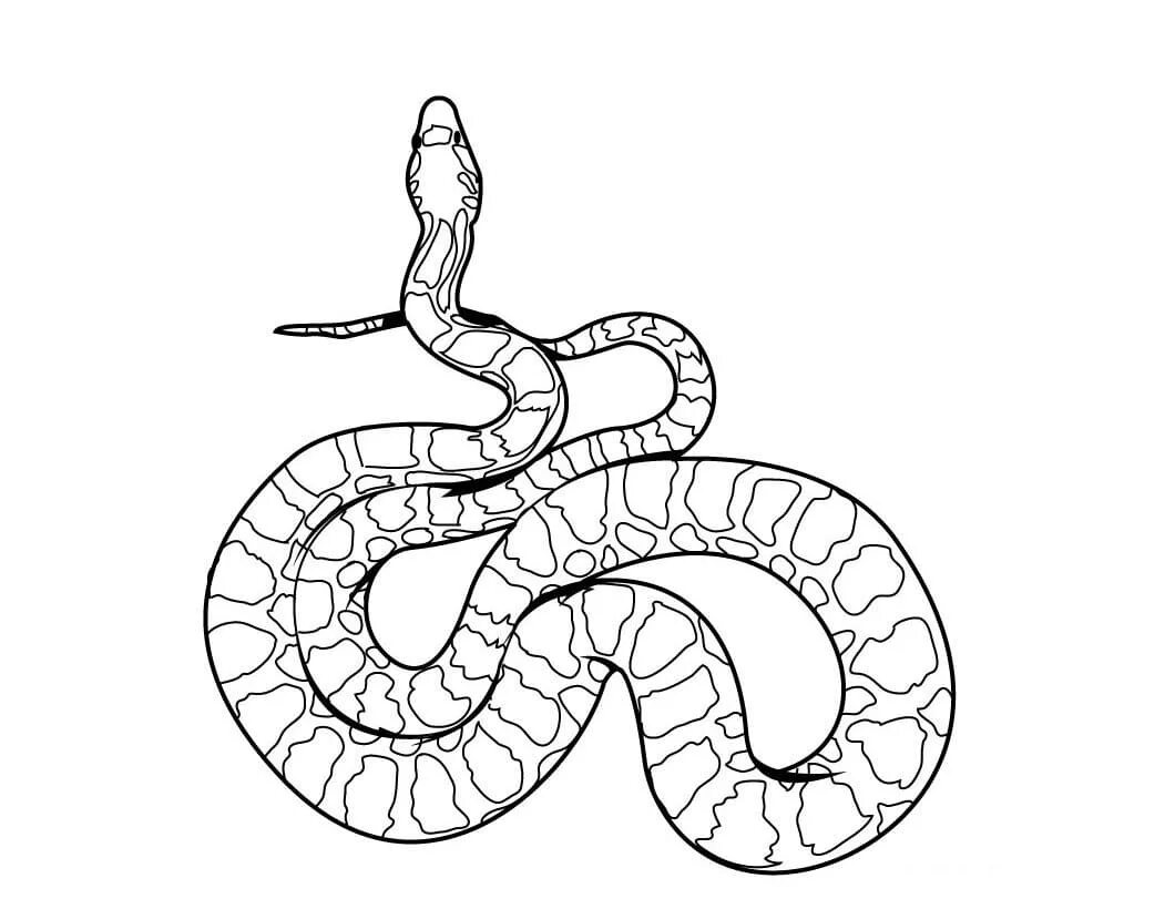 Раскраски змей распечатать. Раскраска змея щитомордник. Змея раскраска. Змея раскраска для детей. Раскраска змеи для детей.