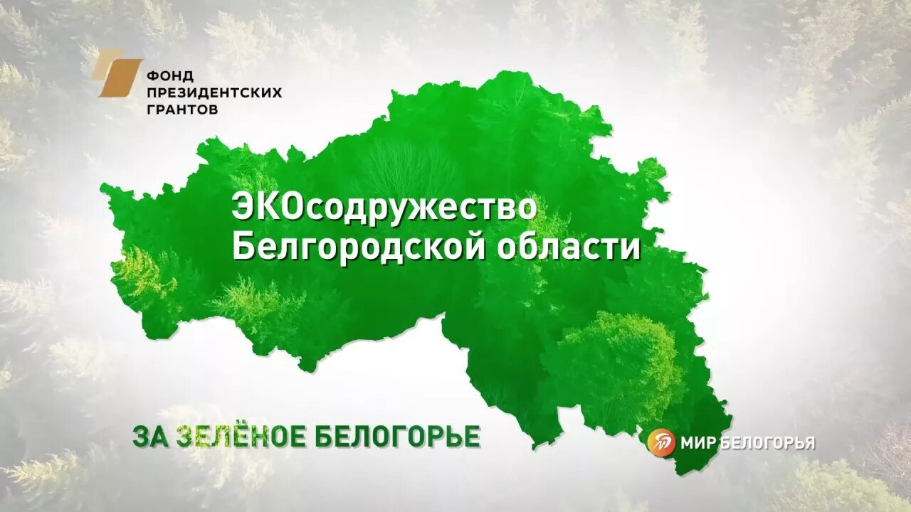 Белгород экология. Экология Белгородской области. Экология Белогорье. Проблемы экологии Белгородской области. Прямая линия белгородской области