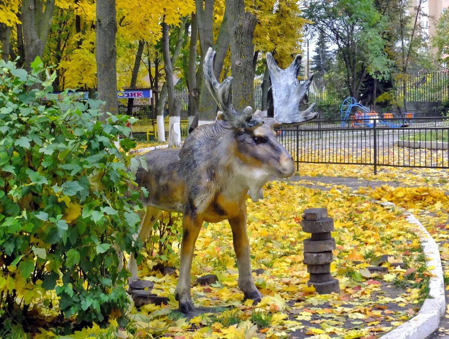 Пензенский зоопарк сайт. Пензенский зоопарк Пенза. Зоны зоопарка. Пензенский зоопарк фото.