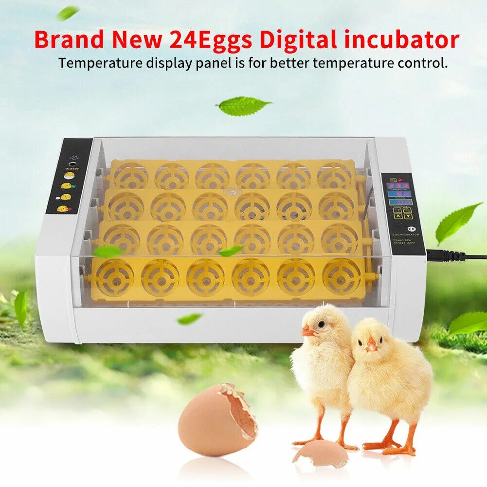 Инкубаторы для яиц птиц купить. Инкубатор Egg incubator. Автоматический инкубатор яиц Chicken Hatcher. Цыплята в инкубаторе. Китайские инкубаторы для 12 яиц автоматические.