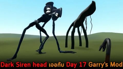 Dark head