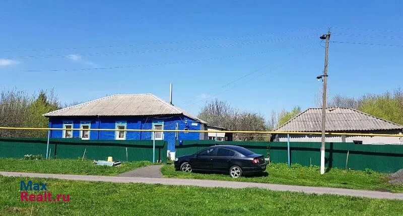 Прогноз губкин богородицкое. Прогноз губкин богородицкое