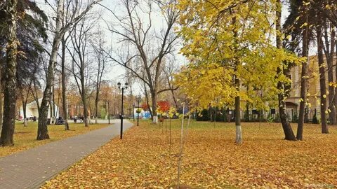 Лыткарино парк