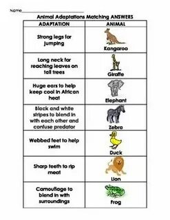 Matching your answers